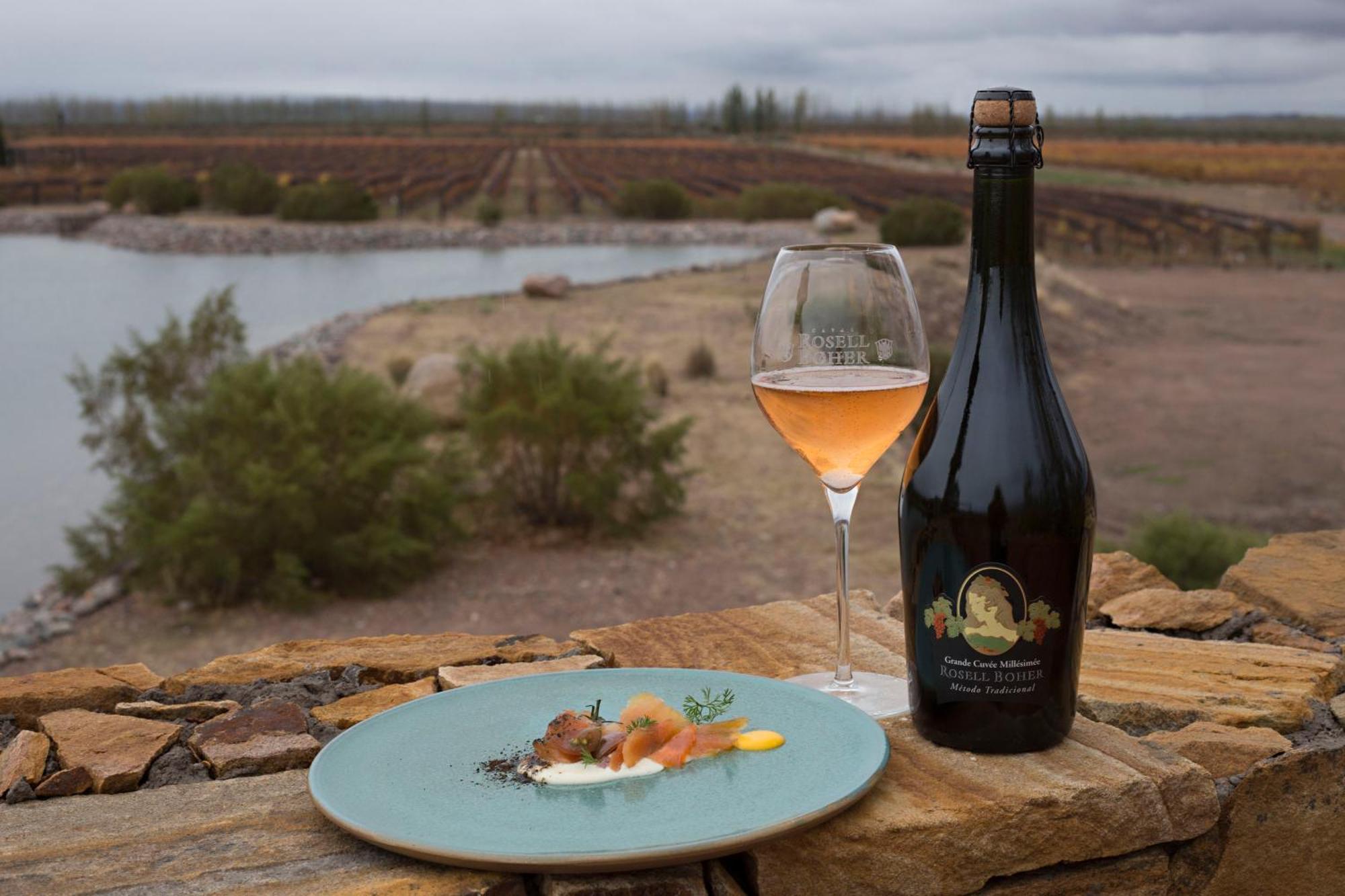 Rosell Boher Winery Lodge & Spa Agrelo Ngoại thất bức ảnh