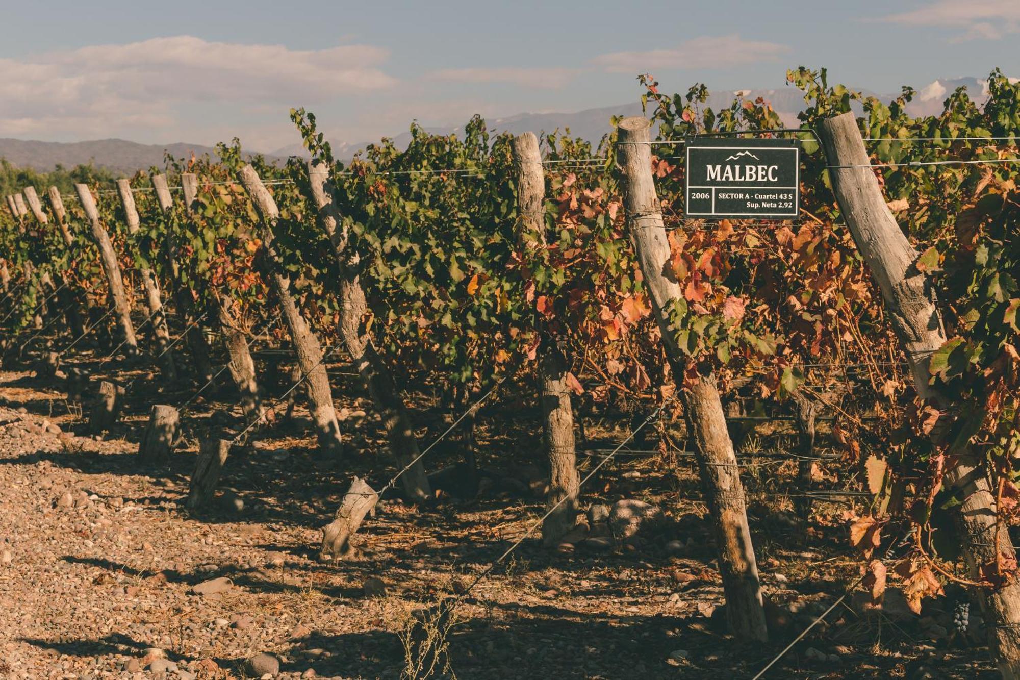 Rosell Boher Winery Lodge & Spa Agrelo Ngoại thất bức ảnh