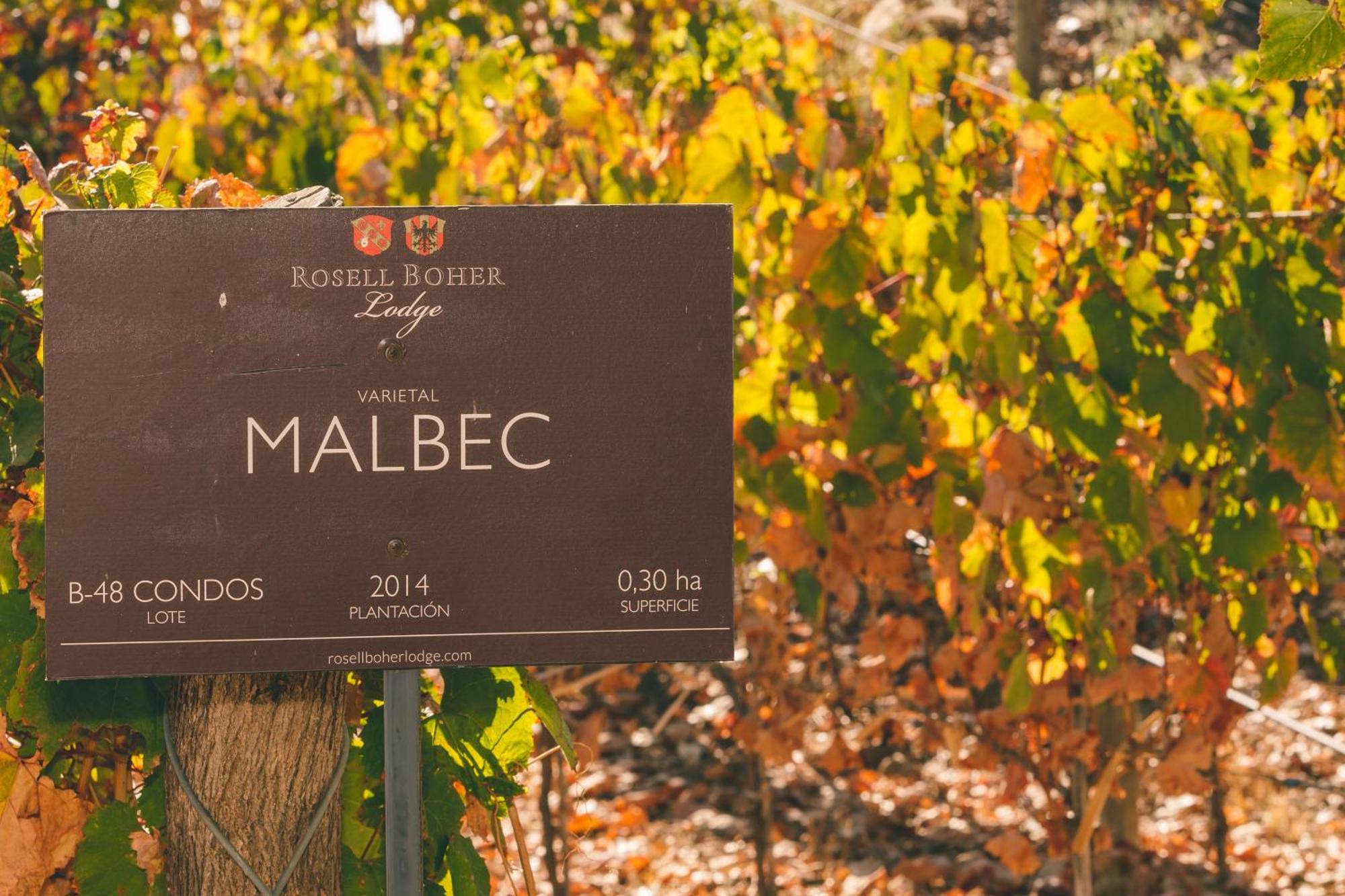 Rosell Boher Winery Lodge & Spa Agrelo Ngoại thất bức ảnh