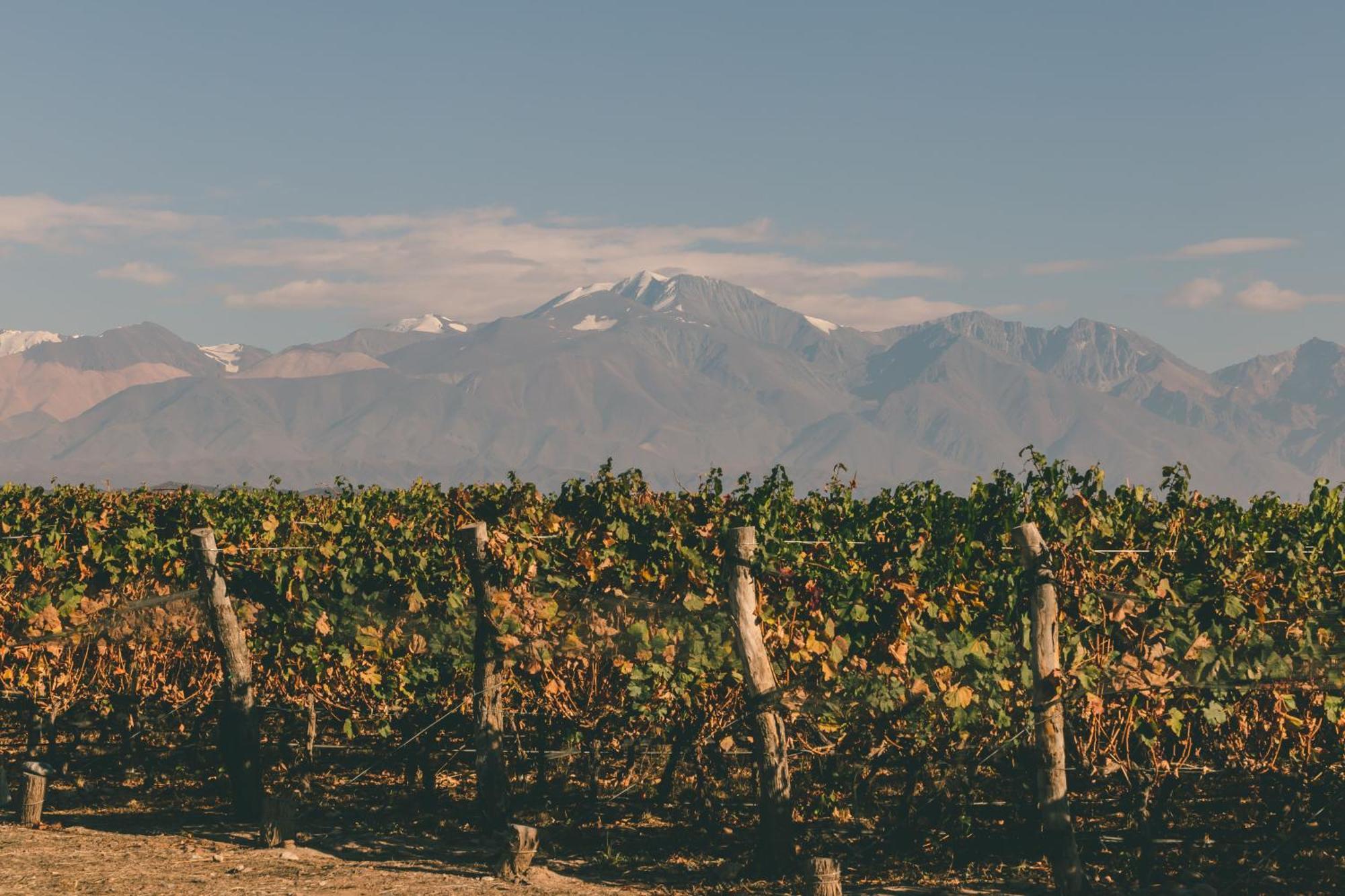 Rosell Boher Winery Lodge & Spa Agrelo Ngoại thất bức ảnh