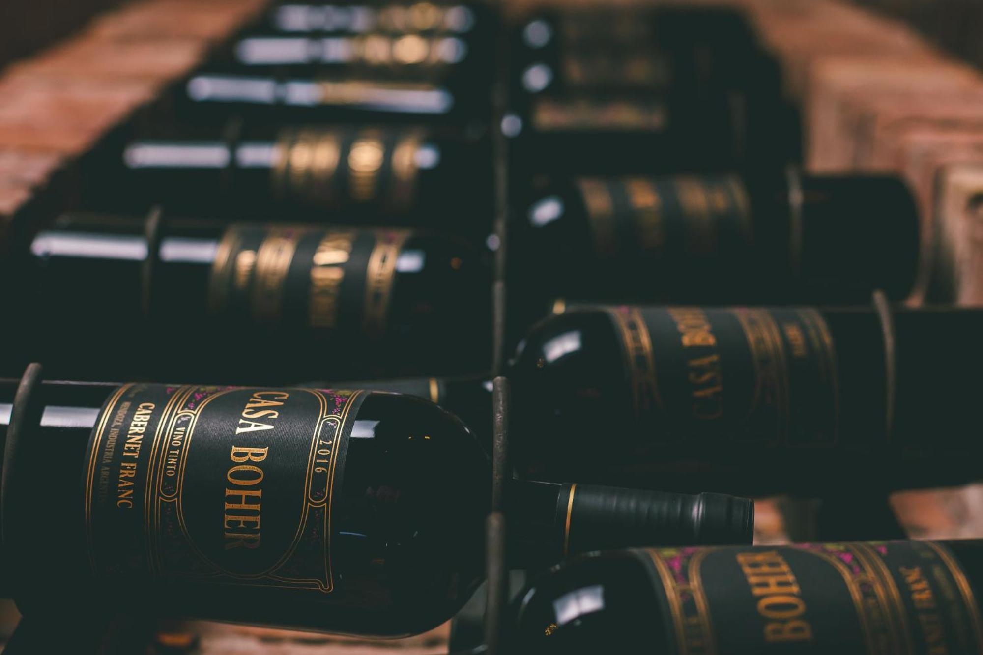 Rosell Boher Winery Lodge & Spa Agrelo Ngoại thất bức ảnh